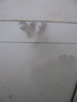 phantom leaves thumb